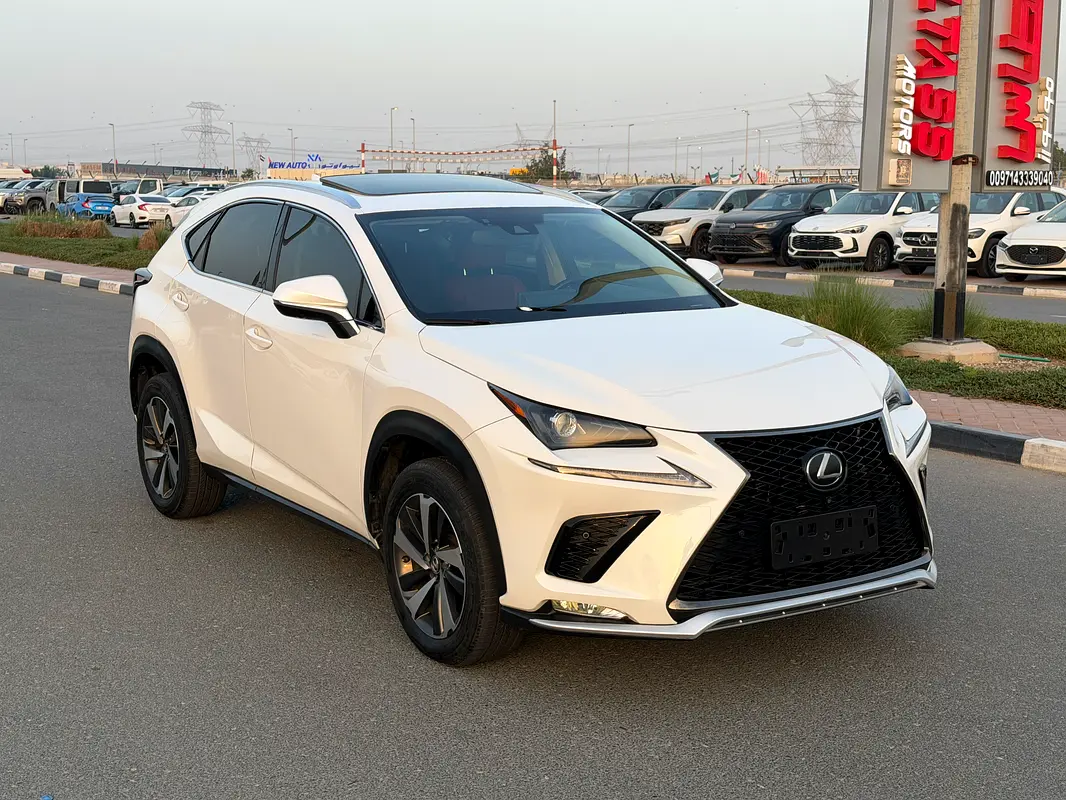 Lexus NX-Series 2020 — photo 1 of 20