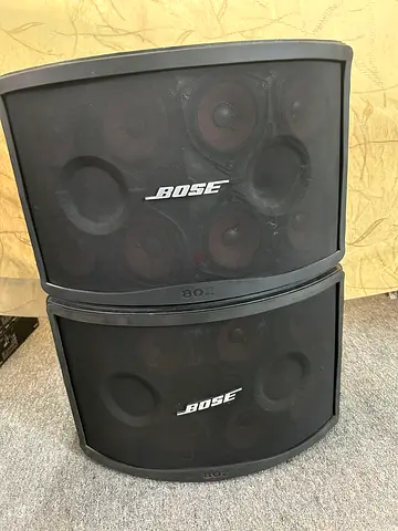 BOSE Panaray® 802® Series III