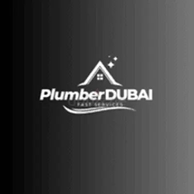 Expert Plumbing Services in Dubai