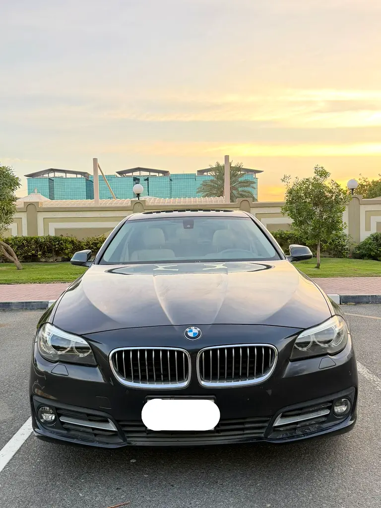 BMW 5-Series 2015 — photo 1 of 19