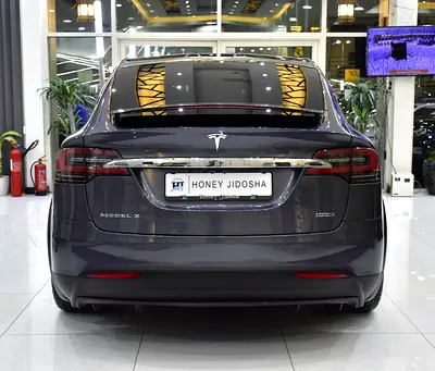 صورة 6 لـ 2019 Tesla MODEL X