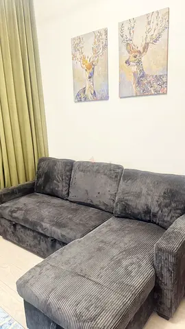 Sofa bed with cup holder in amazing condition