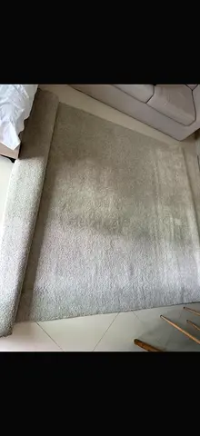 Light beige plush area rug - good condition