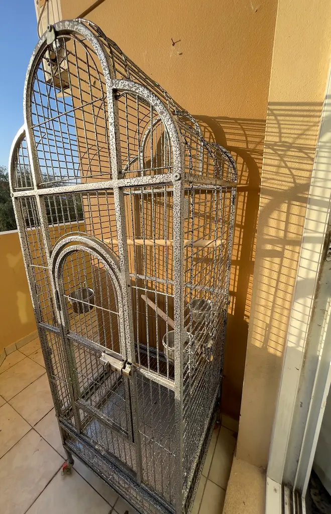 gallery-image