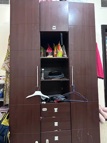 Large Dark Wood Wardrobe / Armoire with Multiple Compartments