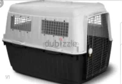 Carriers for large dogs extra large