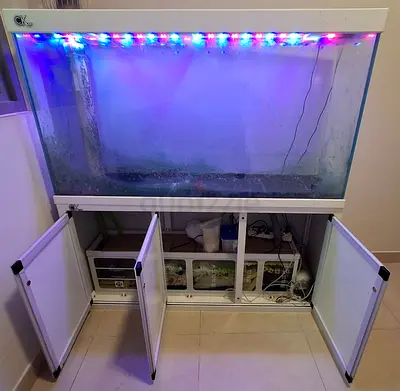 FISH AQUARIUM WITH FILTER