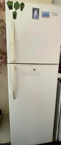 Fridge
