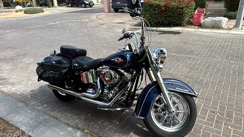 2012 Harley-Davidson Heritage Softail | Screamin’ Eagle 110 | Stage 1 | Vance  Hines