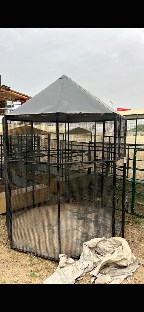 DPV_View_Image_3