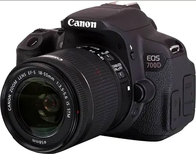 أبو ظبي..الشوامخ