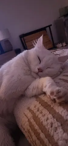 Leaving UAE. Beautiful Luna