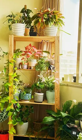 Planter stand