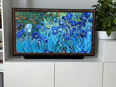 LG OLED C1 TV 48 inch 120 Hz New
