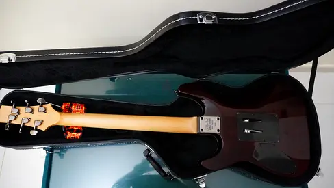 FLOYDROSE SCHECTER OMEN WITH HARD CASE