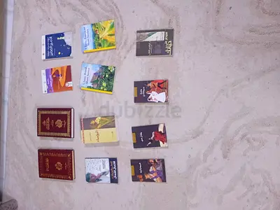 AL Shamkha 16 (Abu Dhabi)