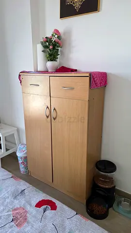 Two-Door Shoe Storage Cabinet / Cupboard - Good Condition