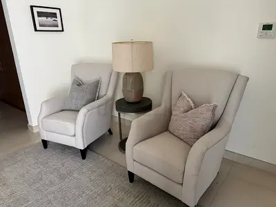 Two Premium Arm Chairs
