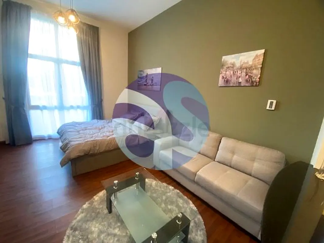 Upgraded ! Studio ! Street 2 ! Near Metro