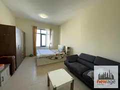 PALACE TOWER FULLY FURNISHED STUDIO Chiller Free