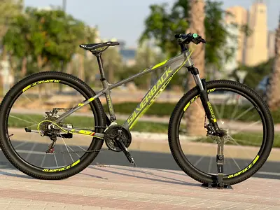 Silverback mtb bike 29er