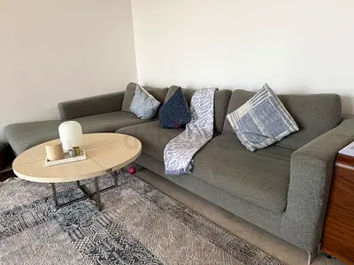 Italian Sofa Goose fur filling