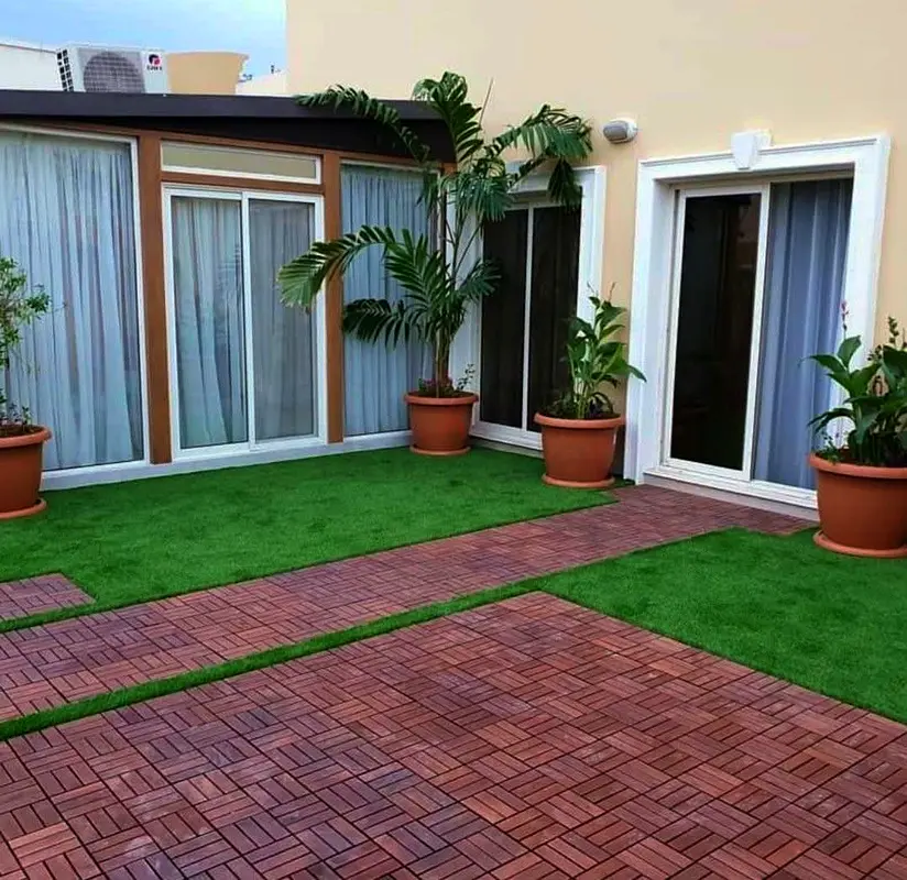 DPV_View_Image_2