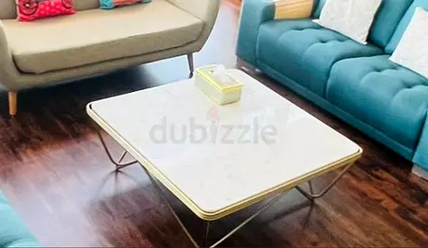 Elegant Marble Coffee Table (Crate  Barrel)