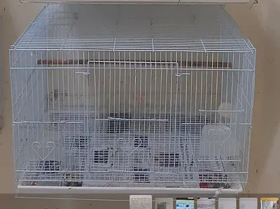LOVEBIRD CAGE 30