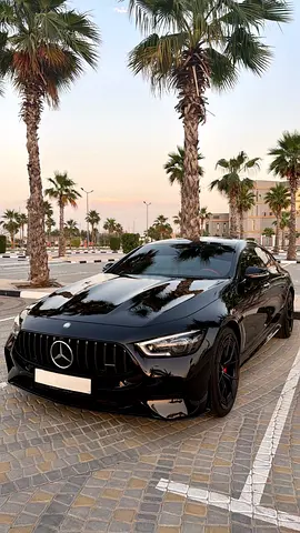 Mercedes Benz AMG GT 43 4MATIC+ Limited Edition RED