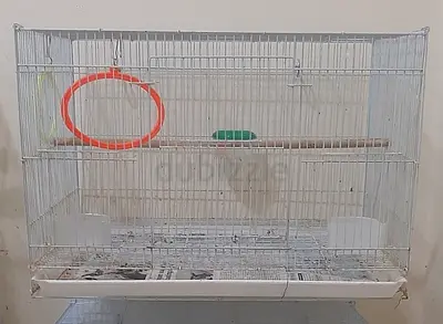 Bird cage 45