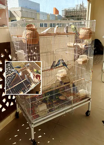 Large Multi-Level Bird Cage with Perches and Nesting Pots