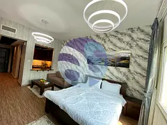 Luxury Furnished ! Upgraded ! Next To Metro ! BLD 103