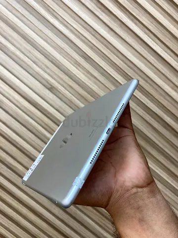 Apple iPad (Silver) - Good Working Condition