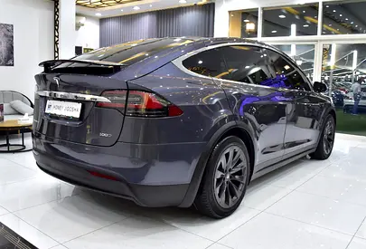 صورة 7 لـ 2019 Tesla MODEL X