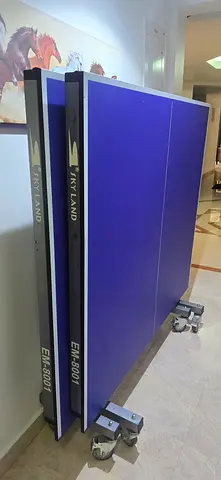 Pair of Skyland EM-8001 Table Tennis Table - Used, Good Condition