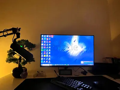 240hz 27 inch Lg monitor