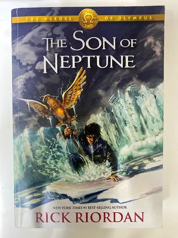 The Son of Neptune - Rick Riordan (Paperback)