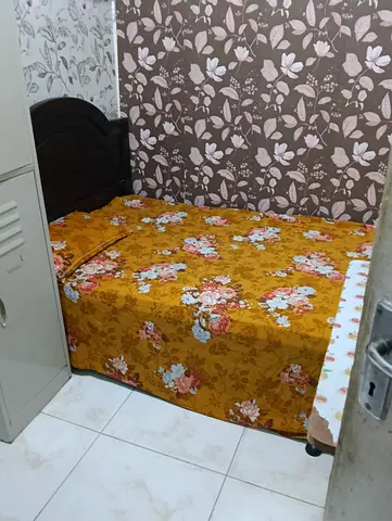 Fully furnished partition available for single working lady