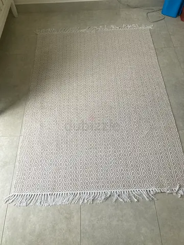 Beige Textured Area Rug with Fringe - Good Condition