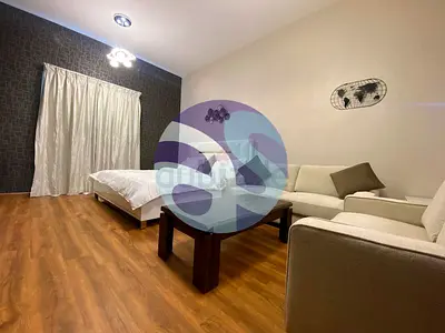 Luxury Furnished Studio Street 2 bld 80