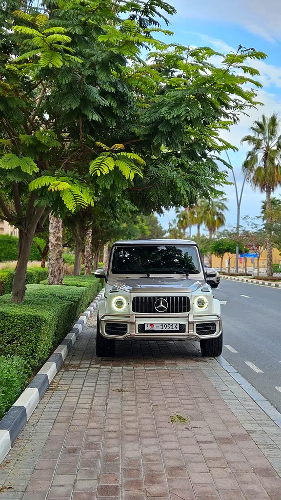 Mercedes-Benz G-Class 2020 — photo 1 of 11