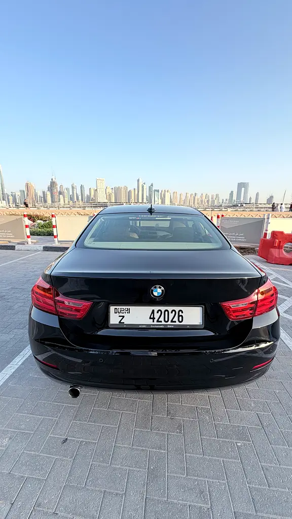 BMW 4-Series 2014 — photo 1 of 9