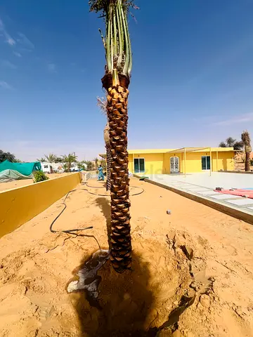 Outdoor Camera Accessory - Tripod/Monopod Mount (used, good condition)