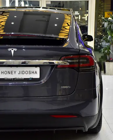 صورة 10 لـ 2019 Tesla MODEL X