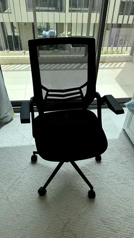 Ergonomic Office Chair with Mesh Back