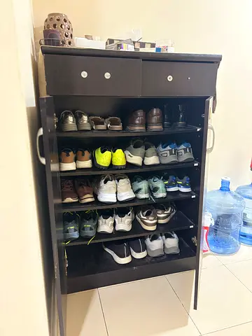 Dark Wood Shoe Cabinet with 2 Drawers