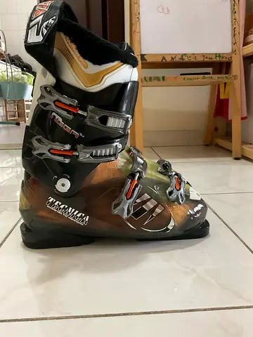 Technica Ski Boots