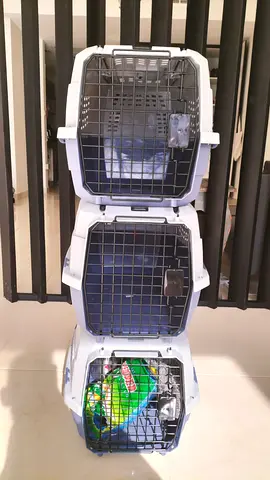 Cat Kennel Cage