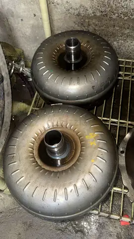 شارقة الصجعة